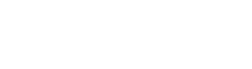 Public Library Association Logo
